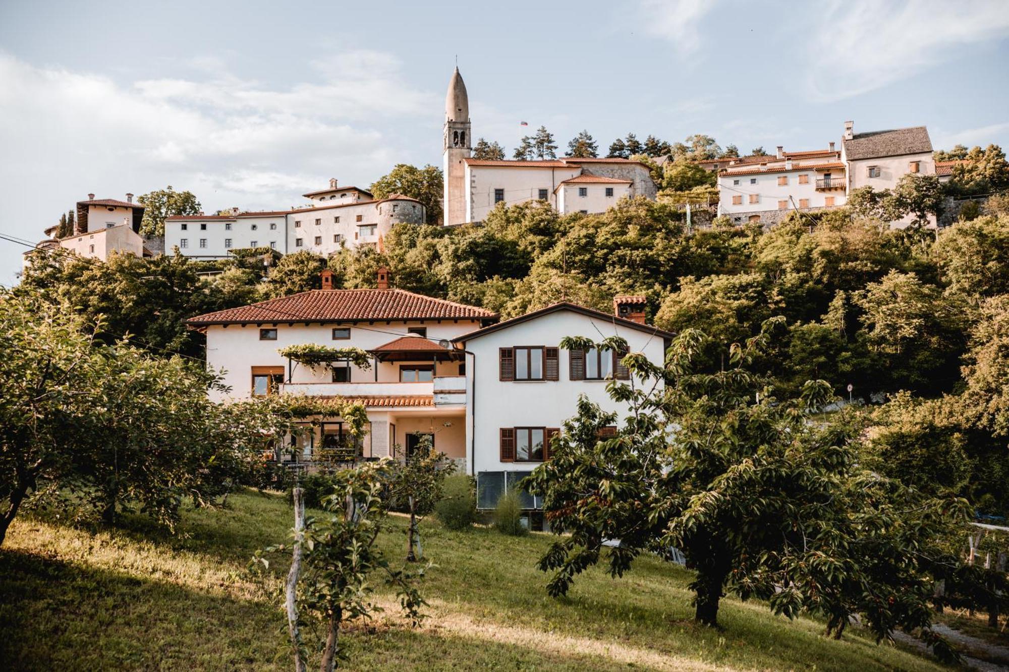 Апартаменты Vina Kobal, Kobal Family Estate Штаньел Экстерьер фото